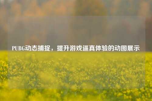 PUBG动态捕捉,提升游戏逼真体验的动图展示