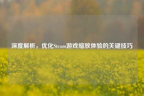 深度解析,优化Steam游戏缩放体验的关键技巧