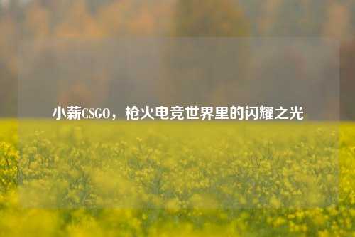 小薪CSGO,枪火电竞世界里的闪耀之光