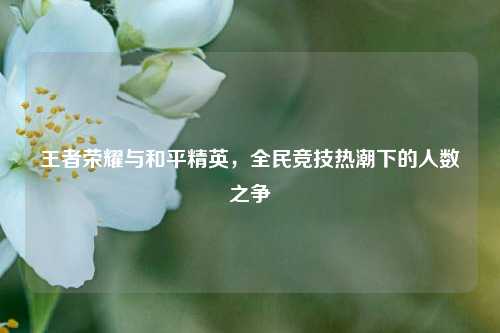 王者荣耀与和平精英,全民竞技热潮下的人数之争
