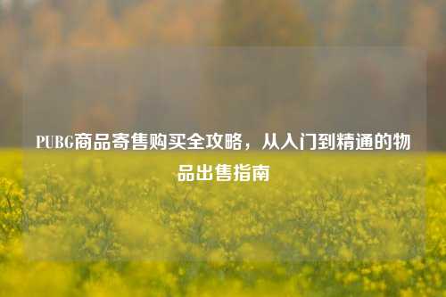PUBG商品寄售购买全攻略,从入门到精通的物品出售指南
