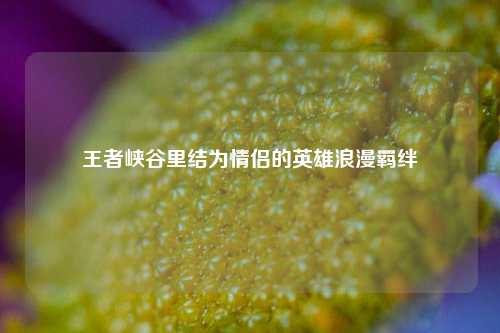 王者峡谷里结为情侣的英雄浪漫羁绊