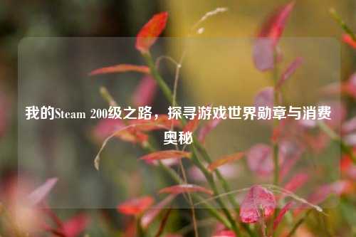 我的Steam 200级之路,探寻游戏世界勋章与消费奥秘