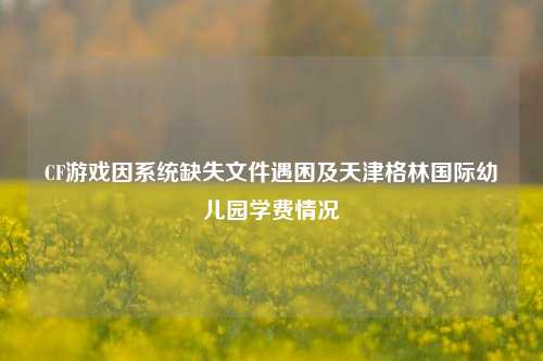 CF游戏因系统缺失文件遇困及天津格林国际幼儿园学费情况