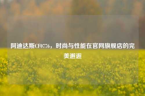 阿迪达斯CF0776,时尚与性能在官网旗舰店的完美邂逅
