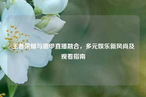 王者荣耀与德甲直播融合,多元娱乐新风尚及观看指南