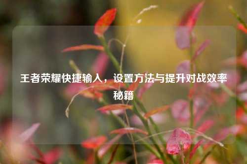 王者荣耀快捷输入,设置方法与提升对战效率秘籍