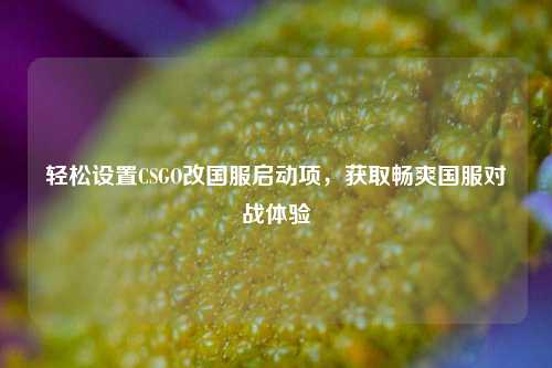 轻松设置CSGO改国服启动项,获取畅爽国服对战体验