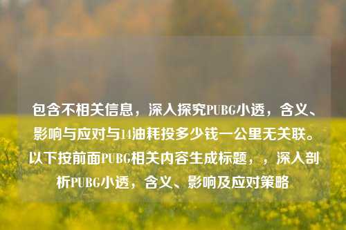 包含不相关信息,深入探究PUBG小透,含义、影响与应对与14油耗投多少钱一公里无关联。以下按前面PUBG相关内容生成标题,,深入剖析PUBG小透,含义、影响及应对策略