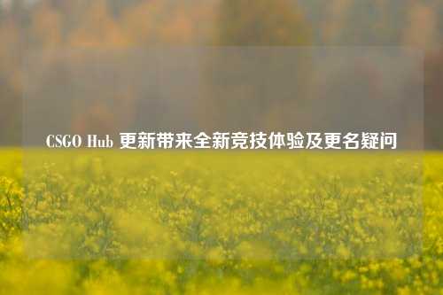CSGO Hub 更新带来全新竞技体验及更名疑问