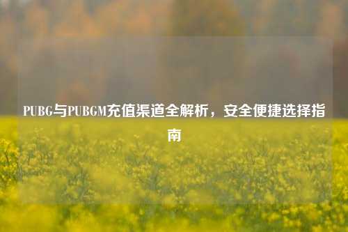 PUBG与PUBGM充值渠道全解析,安全便捷选择指南