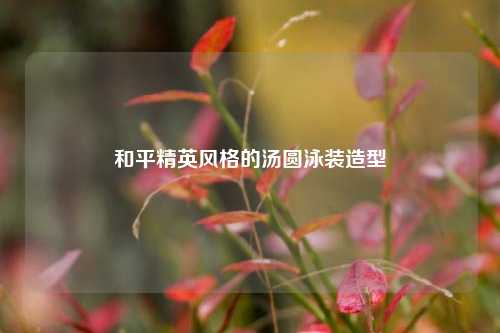 和平精英风格的汤圆泳装造型
