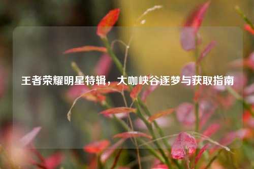 王者荣耀明星特辑,大咖峡谷逐梦与获取指南