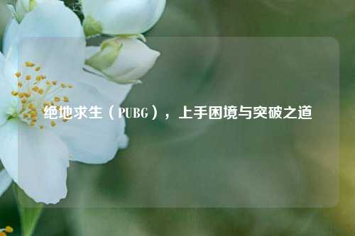 绝地求生(PUBG),上手困境与突破之道