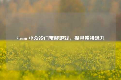 Steam 小众冷门宝藏游戏,探寻独特魅力