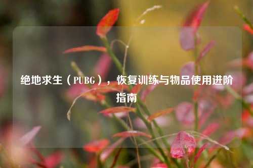绝地求生(PUBG),恢复训练与物品使用进阶指南