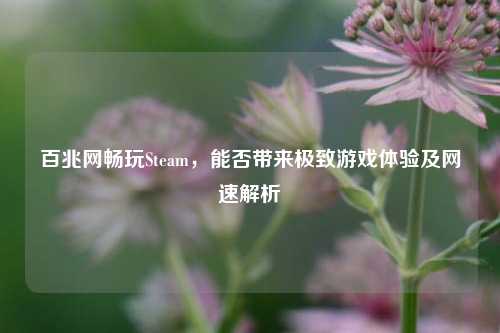 百兆网畅玩Steam，能否带来极致游戏体验及网速解析