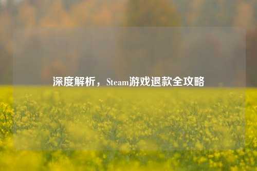 深度解析,Steam游戏退款全攻略