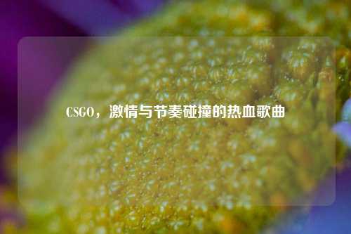 CSGO,激情与节奏碰撞的热血歌曲