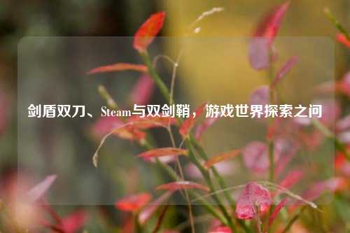 剑盾双刀、Steam与双剑鞘,游戏世界探索之问
