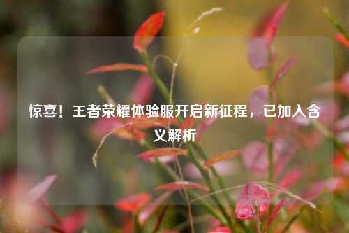 惊喜!王者荣耀体验服开启新征程,已加入含义解析