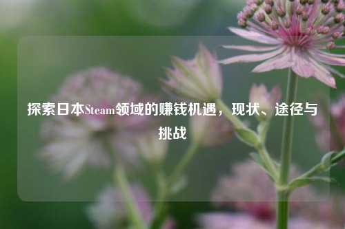 探索日本Steam领域的赚钱机遇,现状、途径与挑战