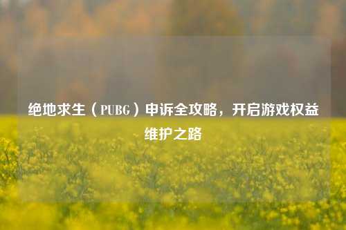 绝地求生(PUBG)申诉全攻略,开启游戏权益维护之路