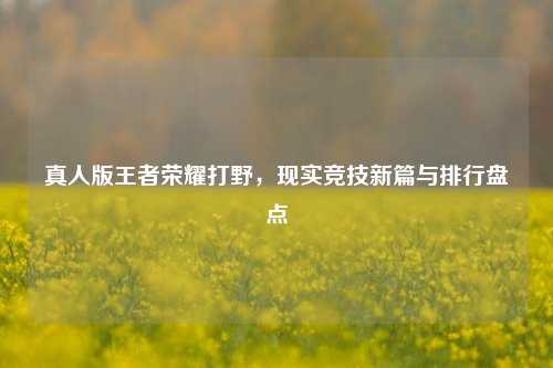 真人版王者荣耀打野,现实竞技新篇与排行盘点