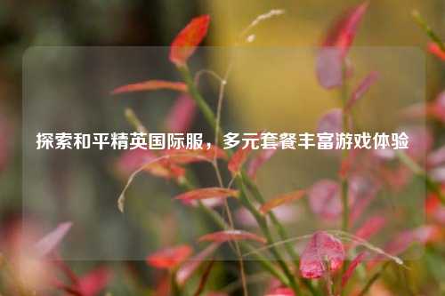 探索和平精英国际服,多元套餐丰富游戏体验