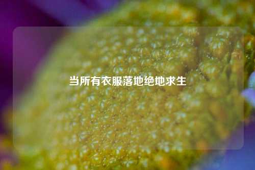 当所有衣服落地绝地求生
