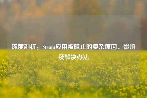 深度剖析,Steam应用被阻止的复杂原因、影响及解决办法
