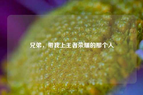 兄弟,带我上王者荣耀的那个人