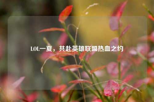 LOL一夏,共赴英雄联盟热血之约