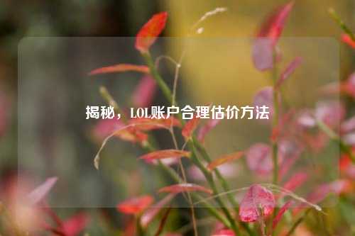 揭秘,LOL账户合理估价方法