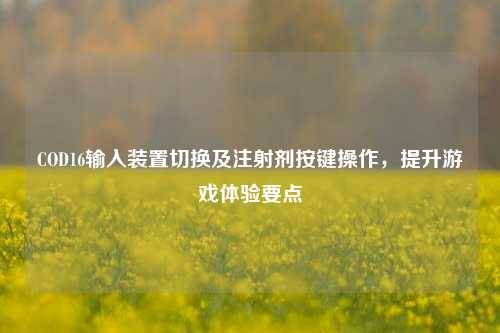 COD16输入装置切换及注射剂按键操作,提升游戏体验要点