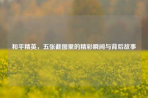 和平精英,五张截图里的精彩瞬间与背后故事