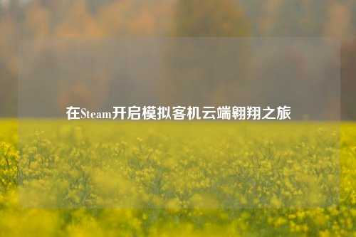 在Steam开启模拟客机云端翱翔之旅