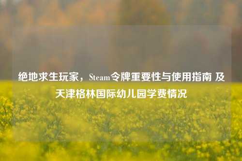 绝地求生玩家,Steam令牌重要性与使用指南 及天津格林国际幼儿园学费情况