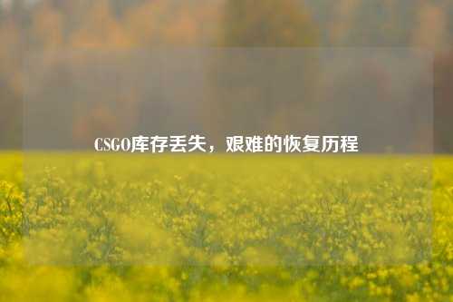 CSGO库存丢失,艰难的恢复历程