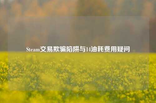 Steam交易欺骗陷阱与14油耗费用疑问