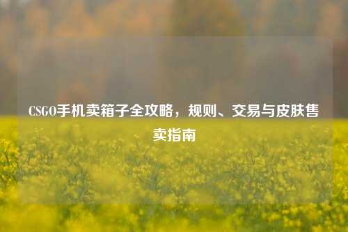 CSGO手机卖箱子全攻略,规则、交易与皮肤售卖指南
