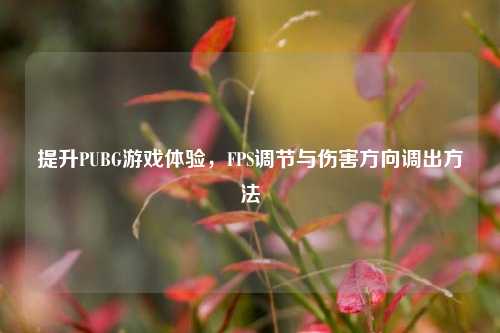 提升PUBG游戏体验,FPS调节与伤害方向调出方法