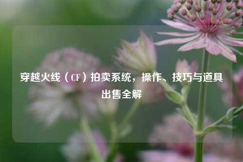 穿越火线(CF)拍卖系统,操作、技巧与道具出售全解