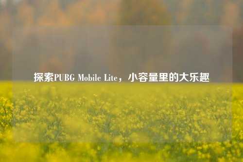 探索PUBG Mobile Lite,小容量里的大乐趣