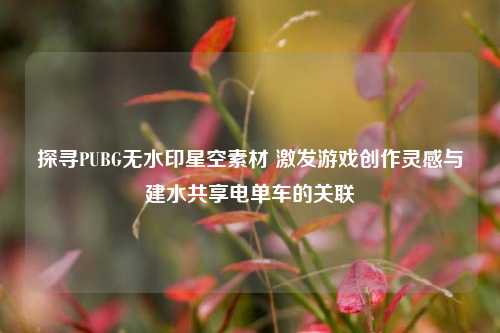 探寻PUBG无水印星空素材 激发游戏创作灵感与建水共享电单车的关联