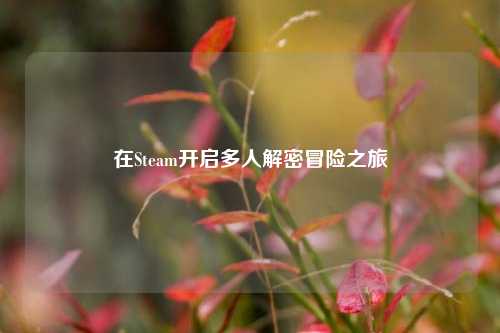 在Steam开启多人解密冒险之旅