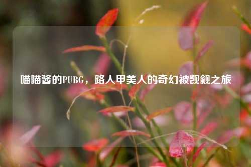 喵喵酱的PUBG,路人甲美人的奇幻被觊觎之旅