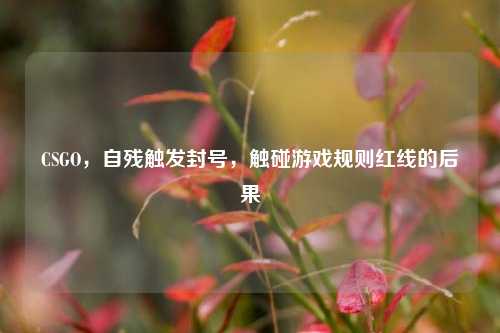CSGO,自残触发封号,触碰游戏规则红线的后果