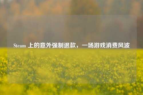 Steam 上的意外强制退款,一场游戏消费风波
