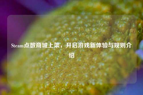 Steam点数商城上架,开启游戏新体验与规则介绍